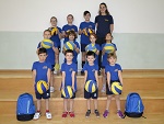 Minivolley